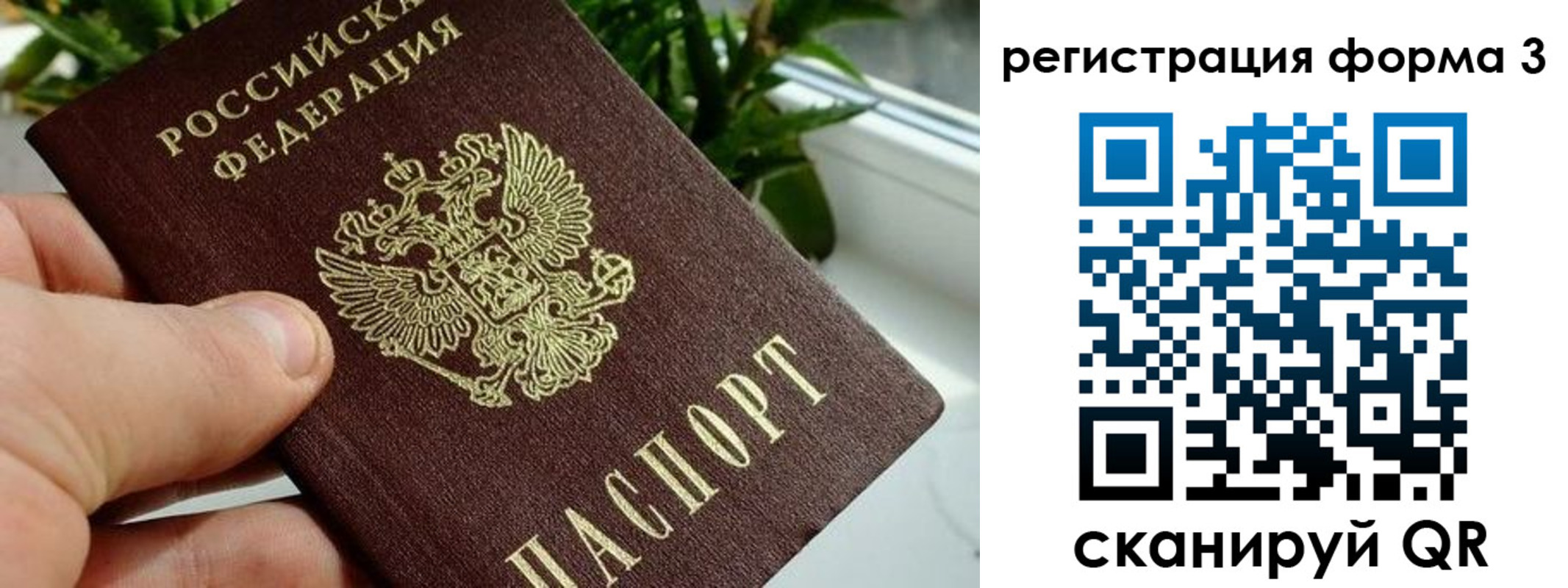 прописка штамп в Козловке